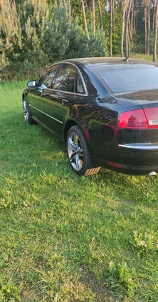 Audi A8 cena 24500 przebieg: 356000, rok produkcji 2003 z Kościan małe 22